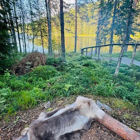 Zen By Saimaa Hills * 伊马特拉