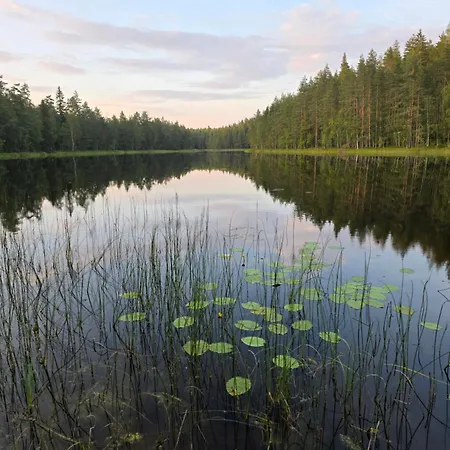 Zen By Saimaa Hills 别墅 伊马特拉