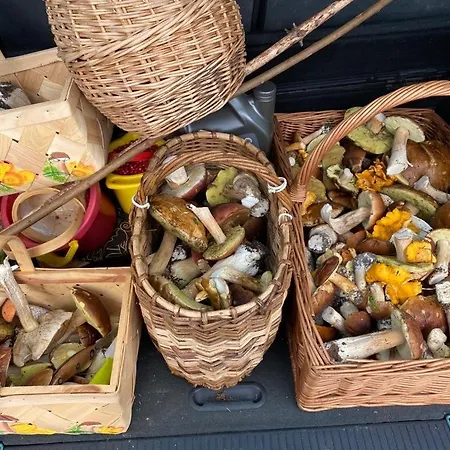 Zen By Saimaa Hills * 伊马特拉