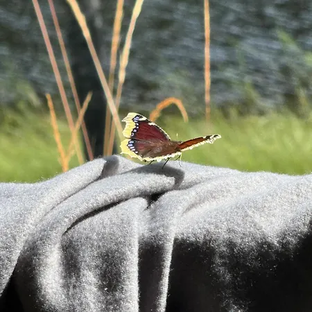 Zen By Saimaa Hills *