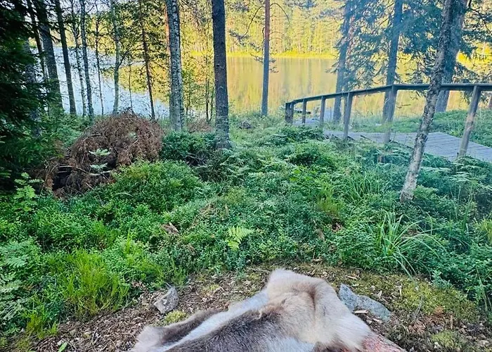 Zen By Saimaa Hills * Иматра