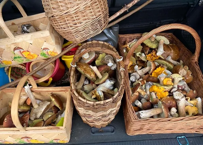 Zen By Saimaa Hills * Иматра